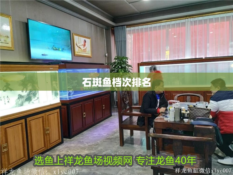 石斑魚檔次排名