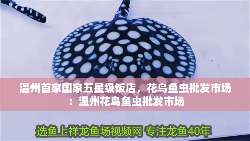 溫州首家國家五星級飯店，花鳥魚蟲批發(fā)市場：溫州花鳥魚蟲批發(fā)市場