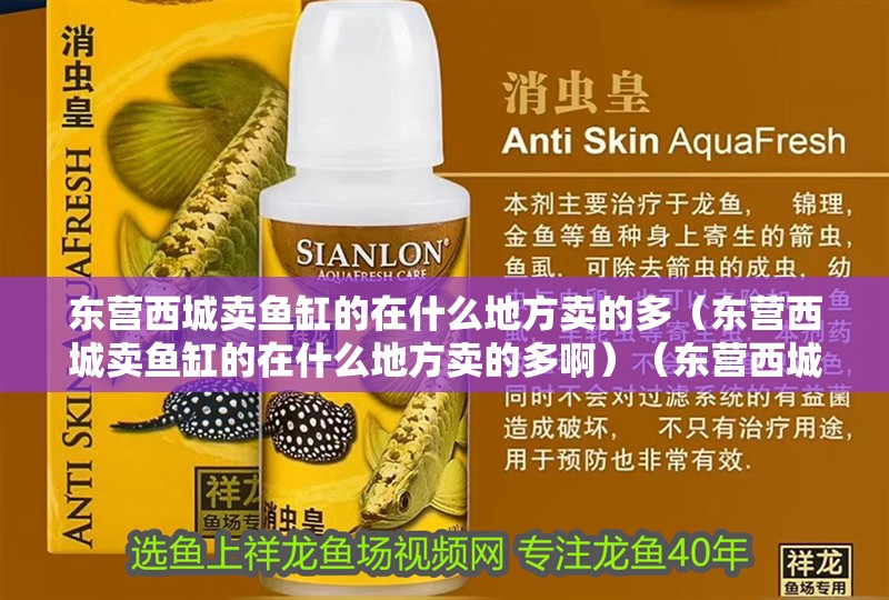 東營西城賣魚缸的在什么地方賣的多（東營西城賣魚缸的在什么地方賣的多啊）（東營西城賣魚缸在什么地方賣的多,）