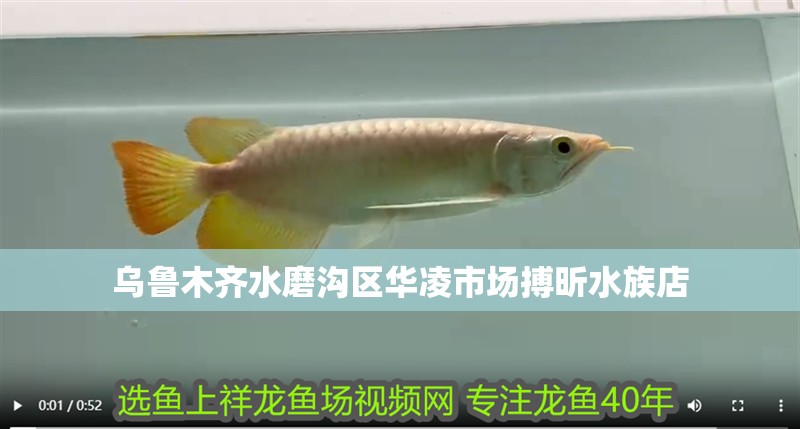 烏魯木齊水磨溝區(qū)華凌市場搏昕水族店