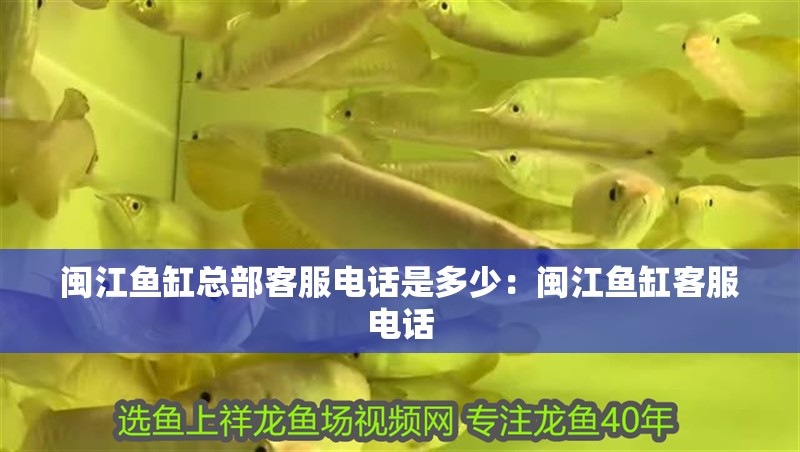 閩江魚缸總部客服電話是多少：閩江魚缸客服電話