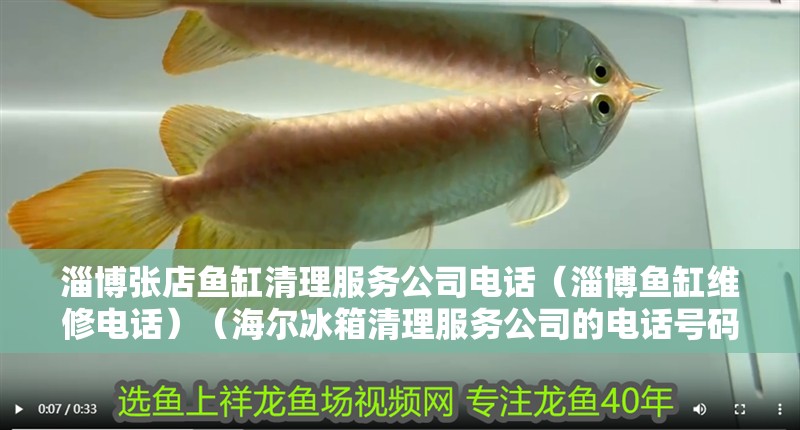 淄博張店魚缸清理服務公司電話（淄博魚缸維修電話）（海爾冰箱清理服務公司的電話號碼）