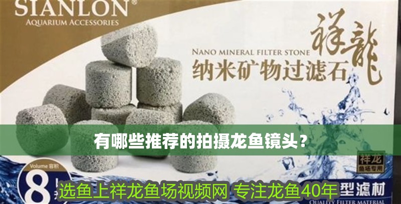 有哪些推薦的拍攝龍魚鏡頭？