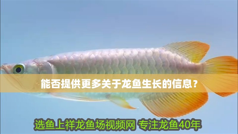 能否提供更多關于龍魚生長的信息？