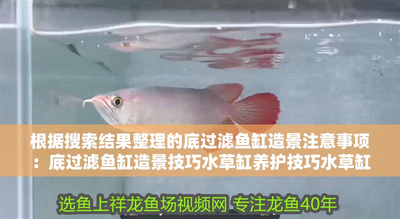 根據(jù)搜索結(jié)果整理的底過濾魚缸造景注意事項：底過濾魚缸造景技巧水草缸養(yǎng)護技巧水草缸的養(yǎng)護技巧 根據(jù)搜索結(jié)果整理的底過濾魚缸造景注意事項：底過濾魚缸造景技巧水草缸養(yǎng)護技巧水草缸的養(yǎng)護技巧 魚缸百科