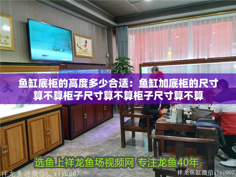 魚缸底柜的高度多少合適：魚缸加底柜的尺寸算不算柜子尺寸算不算柜子尺寸算不算