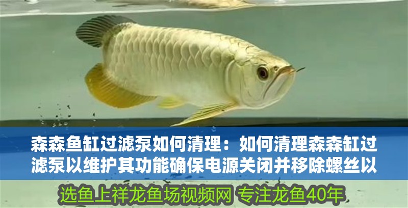 森森魚缸過濾泵如何清理：如何清理森森缸過濾泵以維護(hù)其功能確保電源關(guān)閉并移除螺絲以取出泵主體