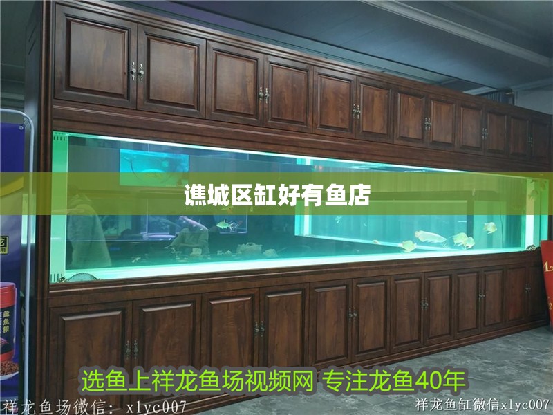 譙城區(qū)缸好有魚店