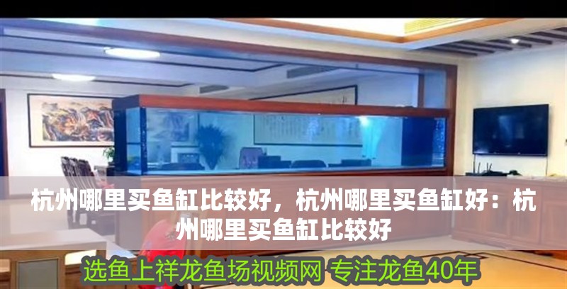 杭州哪里買魚缸比較好，杭州哪里買魚缸好：杭州哪里買魚缸比較好