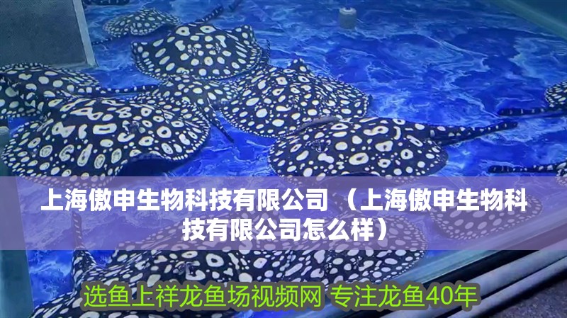 上海傲申生物科技有限公司 （上海傲申生物科技有限公司怎么樣） 上海傲申生物科技有限公司 （上海傲申生物科技有限公司怎么樣） 全國水族館企業名錄
