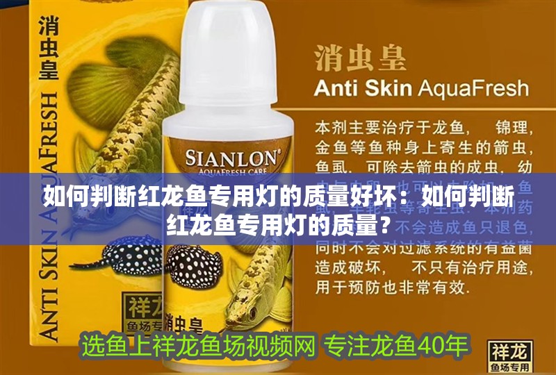 如何判斷紅龍魚(yú)專用燈的質(zhì)量好壞：如何判斷紅龍魚(yú)專用燈的質(zhì)量？
