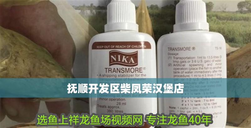 撫順開發區柴鳳榮漢堡店