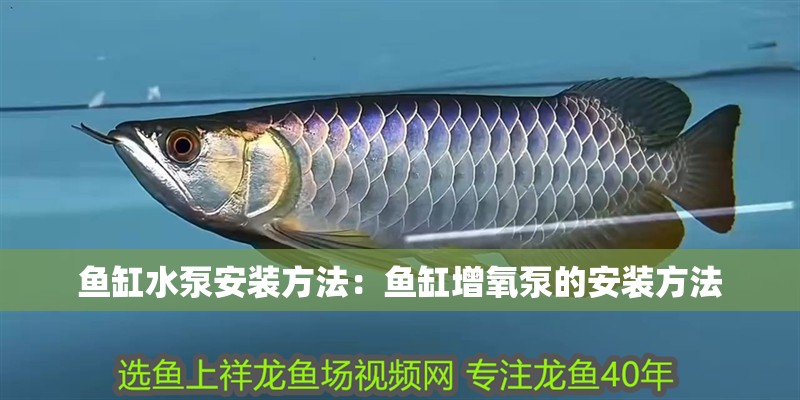 魚缸水泵安裝方法：魚缸增氧泵的安裝方法