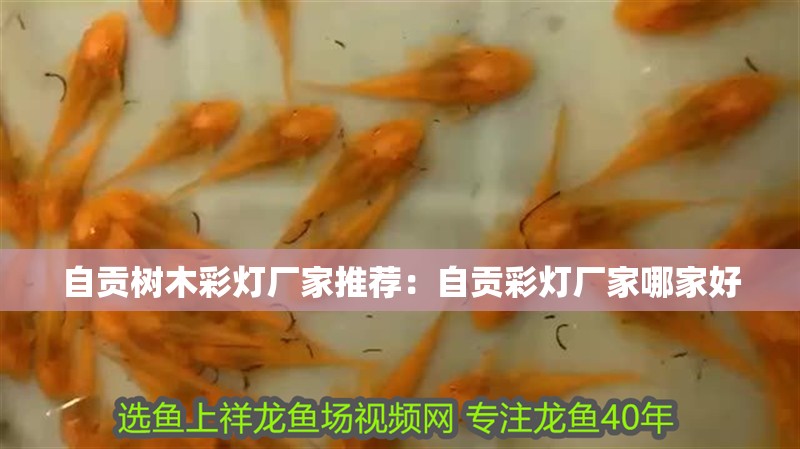 自貢樹木彩燈廠家推薦：自貢彩燈廠家哪家好