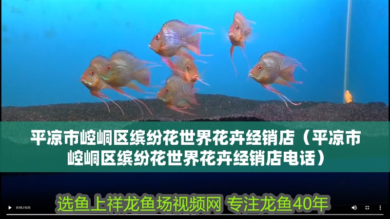 平涼市<strong><mark>崆峒</mark></strong>區(qū)繽紛花世界花卉經銷店（平涼市<strong><mark>崆峒</mark></strong>區(qū)繽紛花世界花卉經銷店電話）