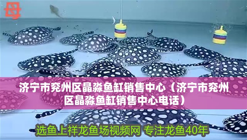 濟寧市兗州區晶淼魚缸銷售中心（濟寧市兗州區晶淼魚缸銷售中心電話）