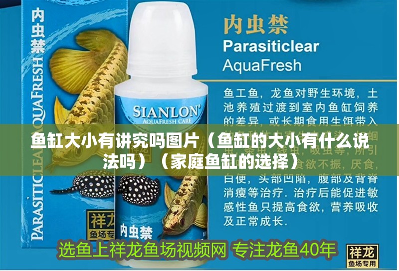 魚缸大小有講究嗎圖片（魚缸的大小有什么說法嗎）（家庭魚缸的選擇）