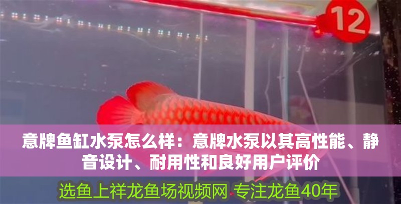 意牌魚缸水泵怎么樣：意牌水泵以其高性能、靜音設(shè)計、耐用性和良好用戶評價