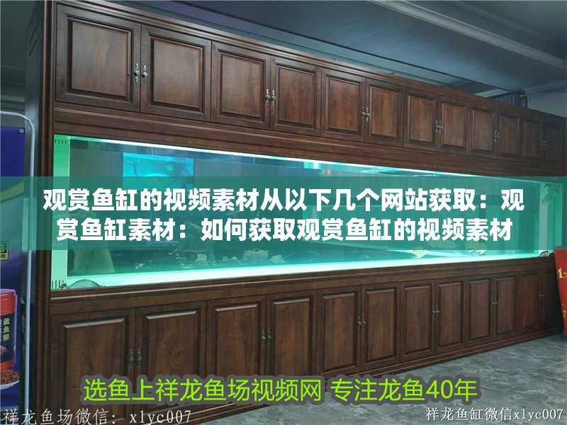 觀賞魚缸的視頻素材從以下幾個網(wǎng)站獲取：觀賞魚缸素材：如何獲取觀賞魚缸的視頻素材
