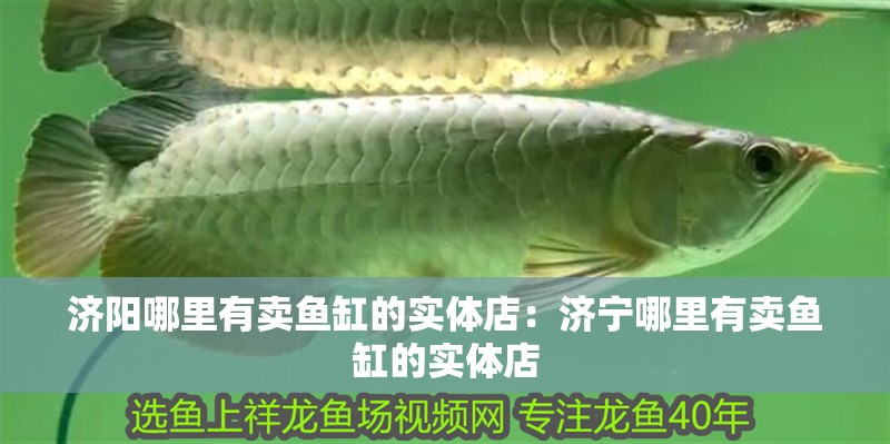 濟陽哪里有賣魚缸的實體店：濟寧哪里有賣魚缸的實體店