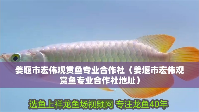 姜堰市宏偉觀賞魚專業合作社（姜堰市宏偉觀賞魚專業合作社地址）