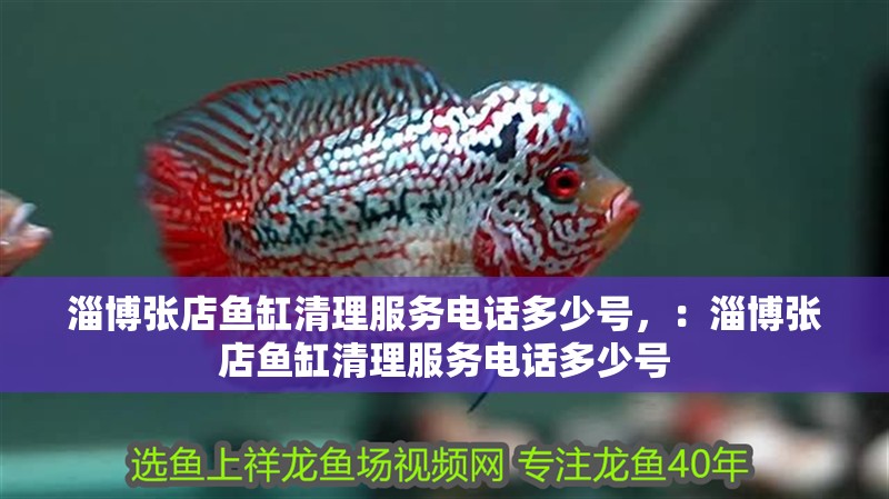淄博張店魚缸清理服務電話多少號，：淄博張店魚缸清理服務電話多少號