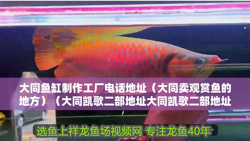 <strong><mark>大同</mark></strong>魚缸制作工廠電話地址（<strong><mark>大同</mark></strong>賣觀賞魚的地方）（<strong><mark>大同</mark></strong>凱歌二部地址<strong><mark>大同</mark></strong>凱歌二部地址<strong><mark>大同</mark></strong>凱歌二部地址）