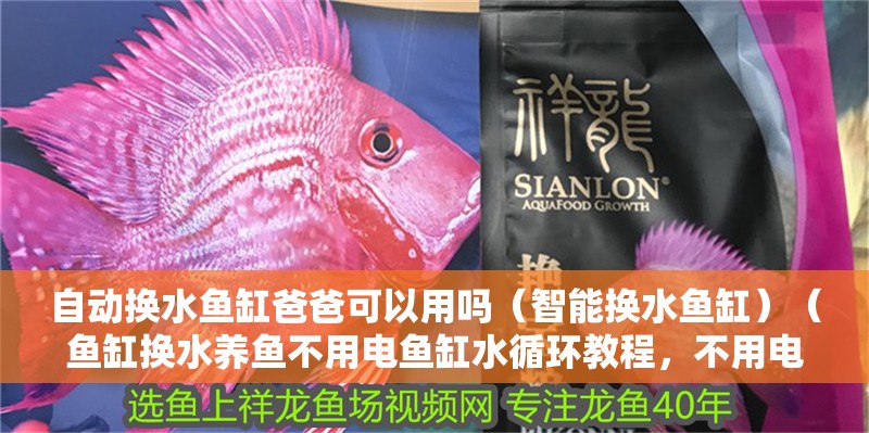 自動換水魚缸爸爸可以用嗎（智能換水魚缸）（魚缸換水養魚不用電魚缸水循環教程，不用電魚缸循環教程）