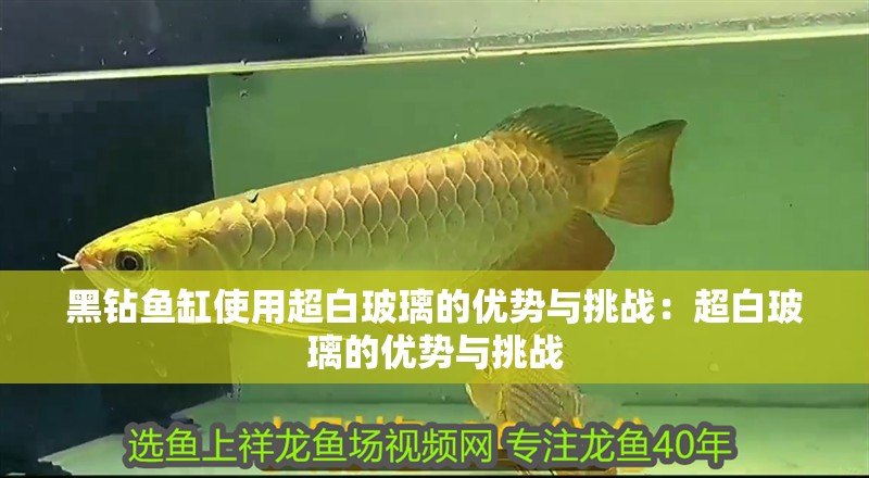 黑鉆魚缸使用超白玻璃的優勢與挑戰：超白玻璃的優勢與挑戰