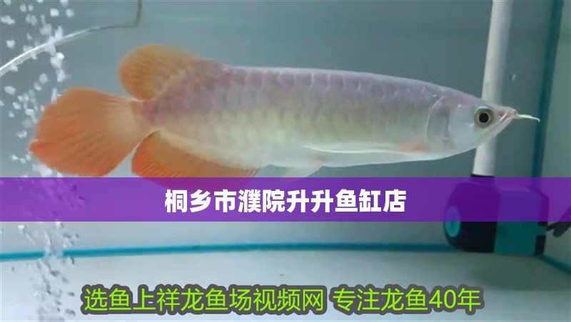 桐鄉市濮院升升魚缸店
