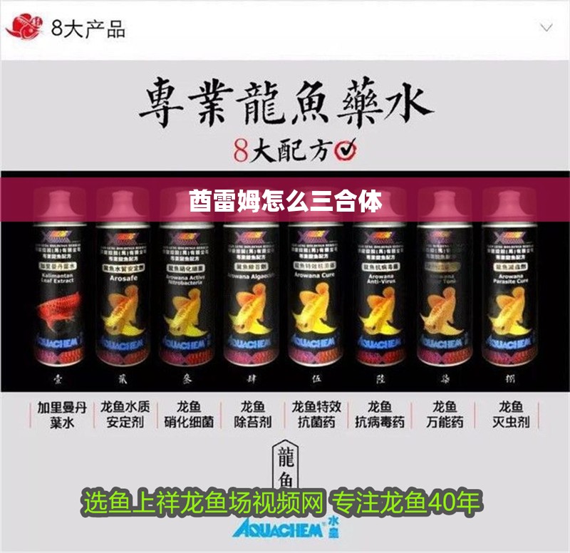酋雷姆怎么三合體