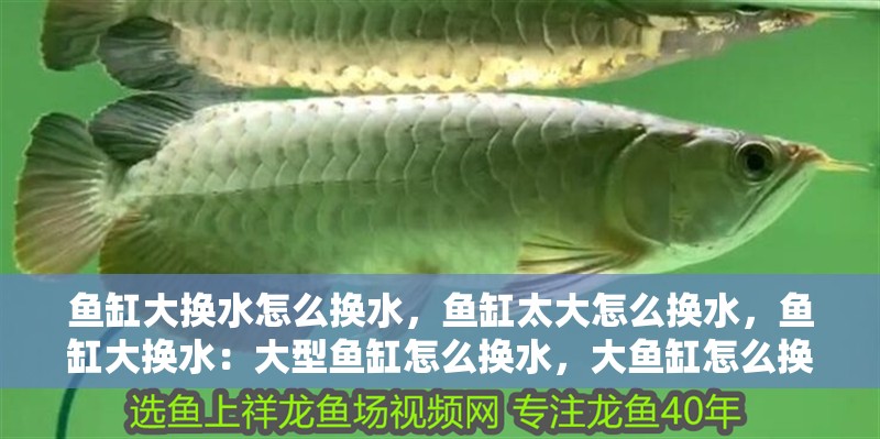 魚缸大換水怎么換水，魚缸太大怎么換水，魚缸大換水：大型魚缸怎么換水，大魚缸怎么換水