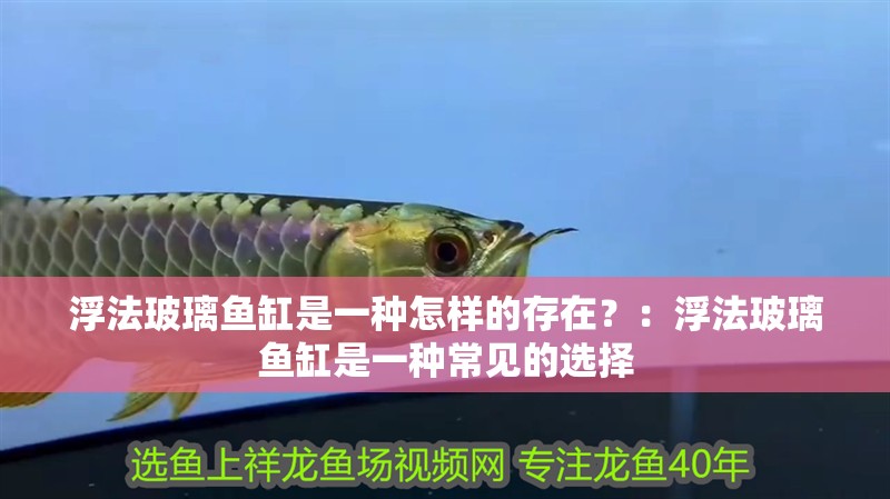 浮法玻璃魚(yú)缸是一種怎樣的存在？：浮法玻璃魚(yú)缸是一種常見(jiàn)的選擇