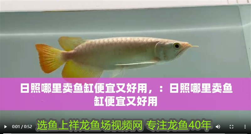 日照哪里賣魚缸便宜又好用，：日照哪里賣魚缸便宜又好用