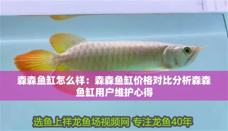 森森魚缸怎么樣：森森魚缸價格對比分析森森魚缸用戶維護(hù)心得