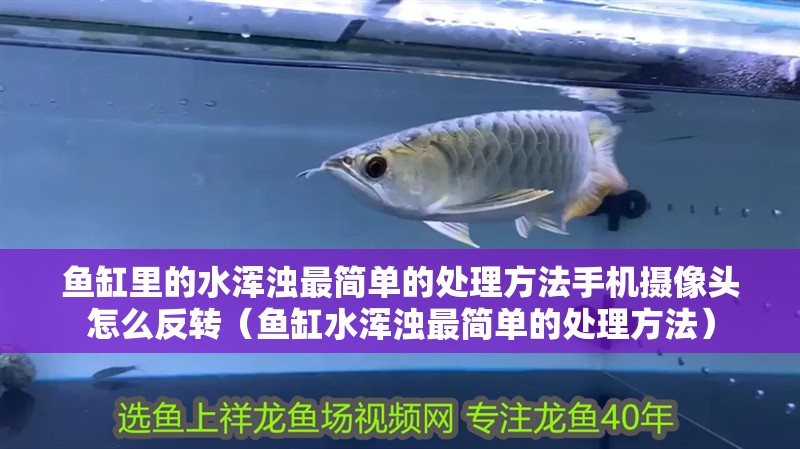 魚缸里的水渾濁最簡單的處理方法手機攝像頭怎么反轉（魚缸水渾濁最簡單的處理方法）