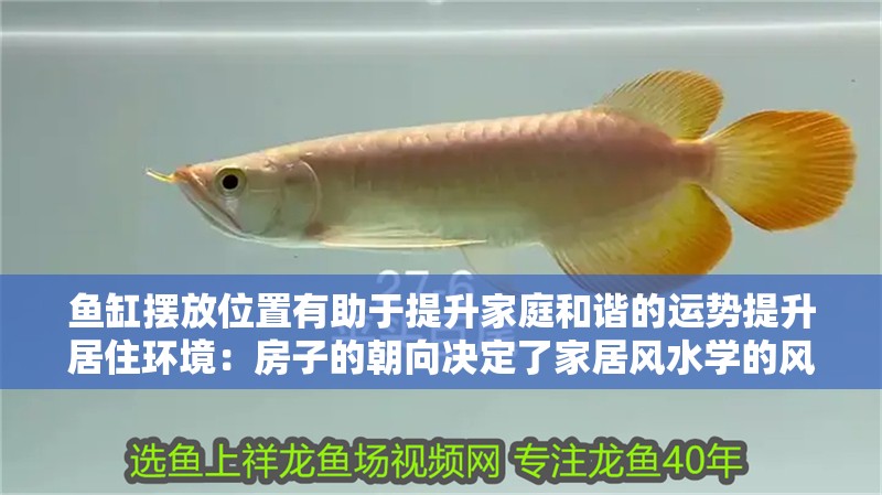 魚缸擺放位置有助于提升家庭和諧的運勢提升居住環境：房子的朝向決定了家居風水學的風水學