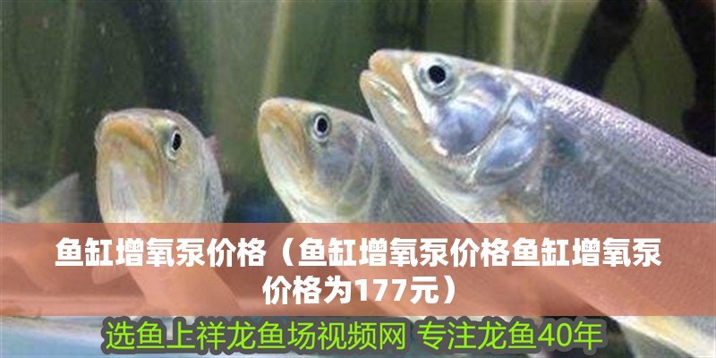 魚缸增氧泵價格（魚缸增氧泵價格魚缸增氧泵價格為177元）