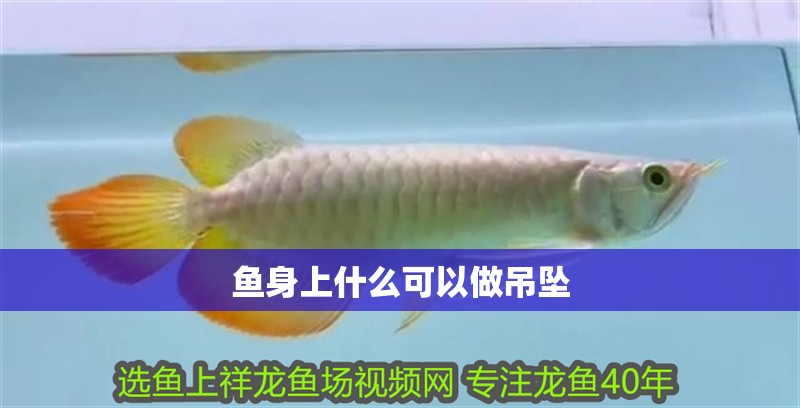 魚身上什么可以做吊墜