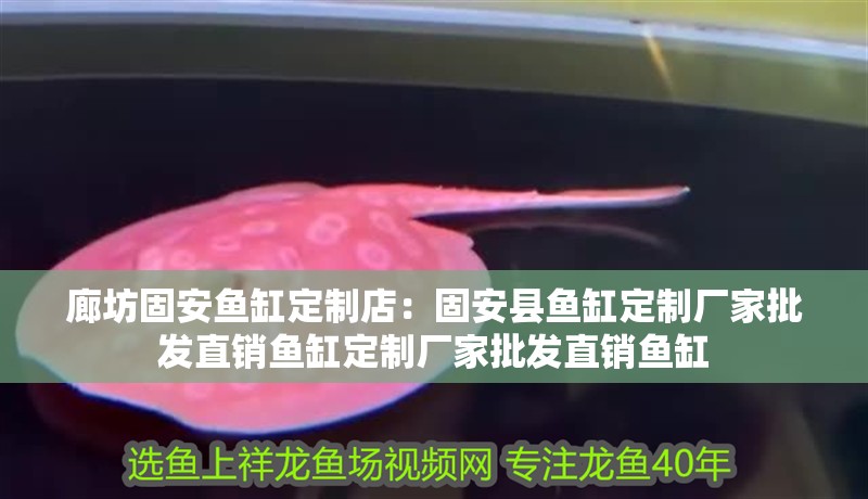 廊坊固安魚缸定制店：固安縣魚缸定制廠家批發直銷魚缸定制廠家批發直銷魚缸
