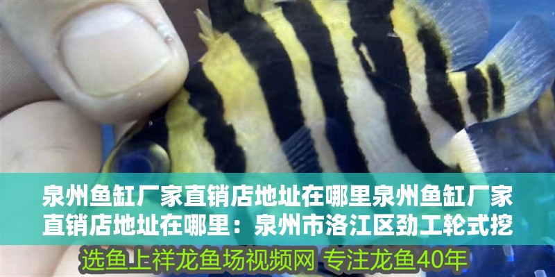 泉州魚缸廠家直銷店地址在哪里泉州魚缸廠家直銷店地址在哪里：泉州市洛江區(qū)勁工輪式挖掘機(jī)廠家直銷店地址在哪里