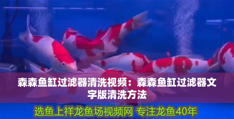 森森魚缸過濾器清洗視頻：森森魚缸過濾器文字版清洗方法