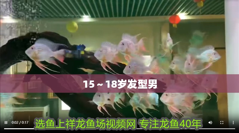 15～18歲發型男