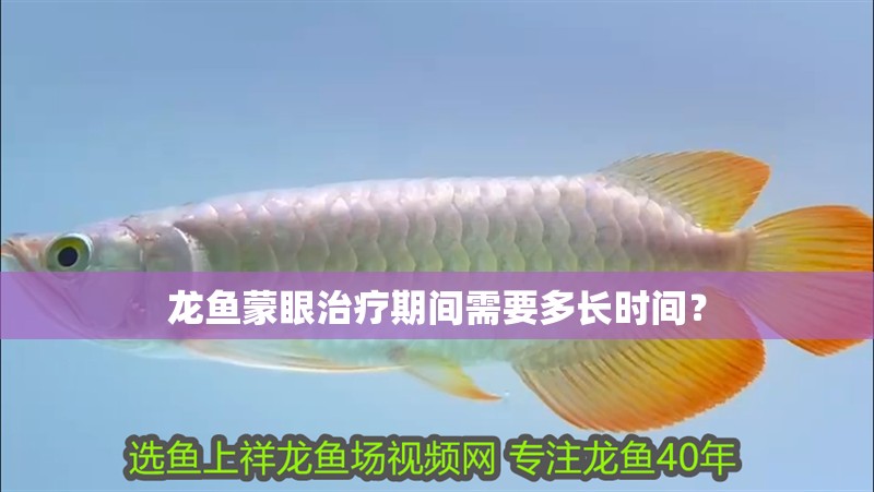 龍魚蒙眼治療期間需要多長時間？