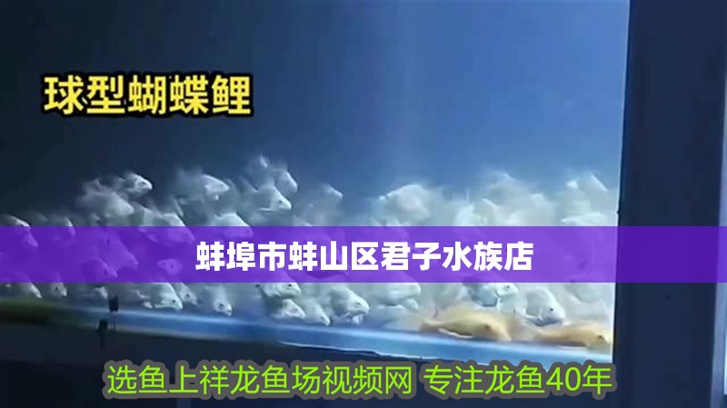 蚌埠市蚌山區君子水族店