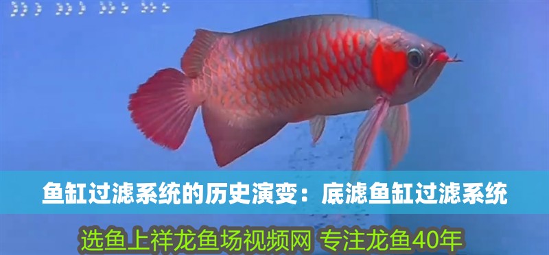 魚缸過濾系統的歷史演變：底濾魚缸過濾系統