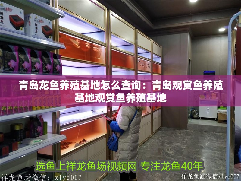 青島龍魚養殖基地怎么查詢：青島觀賞魚養殖基地觀賞魚養殖基地