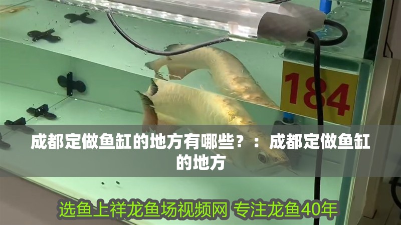 成都定做魚缸的地方有哪些？：成都定做魚缸的地方