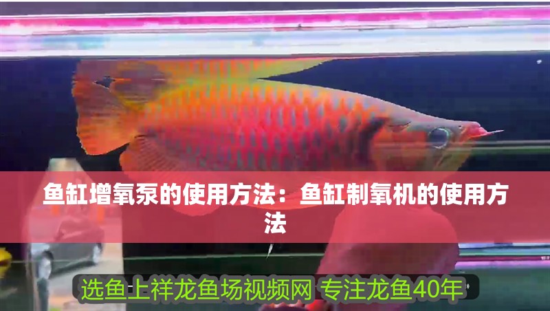 魚缸增氧泵的使用方法：魚缸制氧機的使用方法