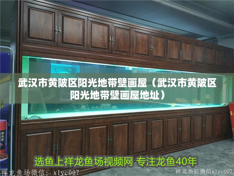 武漢市黃陂區陽光地帶壁畫屋（武漢市黃陂區陽光地帶壁畫屋地址）